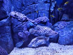 -成都浩海立方海洋公园