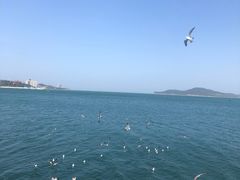 -幸福门