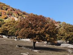 -克什克腾世界地质公园青山景区