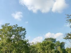 -白鹭湾湿地公园