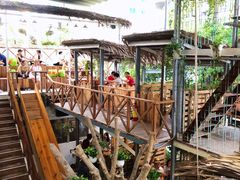 -Rainforest
