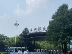 -黄海国家森林公园