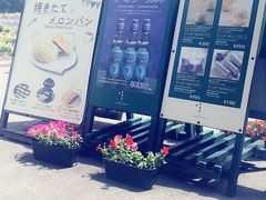 -富田农场