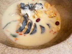 -滇小鱼·云南野生菌火锅(上杭路店)