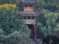 -华雅花园大酒店