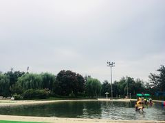 -柳浪游泳场