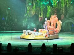 -广州长隆国际大马戏