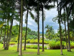 -中国科学院西双版纳热带植物园