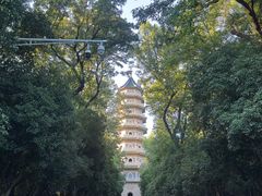 -灵谷景区