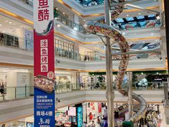 -巴黎春天(浦建店)