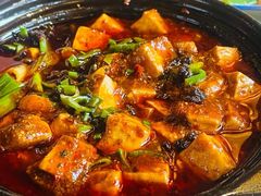 -陈麻婆豆腐(旗舰店)