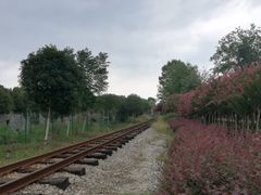 -武汉紫薇都市田园