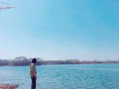 -大兴滨河森林公园