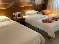 -九华山聚龙大酒店