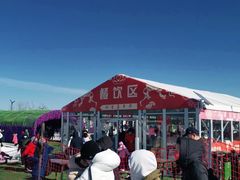 -绿野森林乐园冰雪季