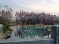 -贡湖湾湿地公园