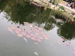 -晋江五店市传统文化旅游区