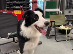 -绿壁虎攀岩基地(Tcar店)