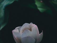 -重元寺