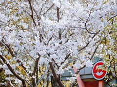 -杨高南路(地铁站)