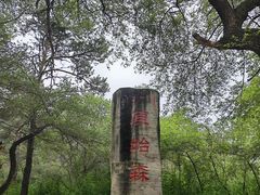 -大青沟风景区