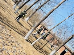 -亲兄弟真人CS团建拓展基地