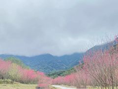 -福清灵石山国家森林公园