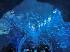 -海合安成都极地海洋公园