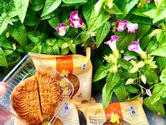 -新雅粤菜馆(南京东路店)