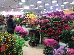 -双季花艺园艺市场(浦东店)