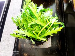 茼蒿菜-林记潮牛·牛肉火锅(上马墩店)
