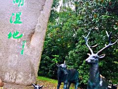 -溱湖国家湿地公园