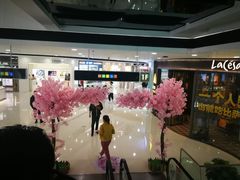 -上海颛桥万达广场