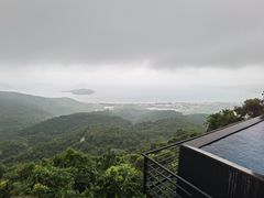 -三亚亚龙湾人间天堂鸟巢度假村