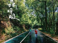 -惠山国家森林公园