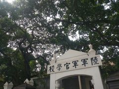 -长洲岛