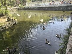 -黔灵山公园
