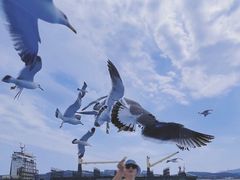 -海驴岛(荣成市)
