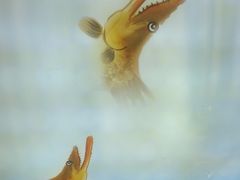 -徽三说·土徽菜·中国徽菜连锁品牌(一中店)