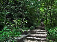 -老象峰