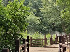 -北京西山国家森林公园