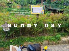 -杭州开元森泊度假乐园