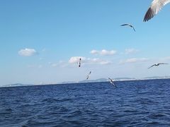 -正德楼果木烤鸭·渔家菜(东港店)