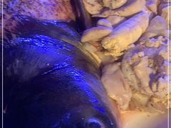 -倍儿美海鲜大排挡·非遗海鲜蒸饺(洋货店)