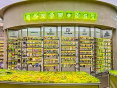 -HOWOW·D2Y(柏威年店)
