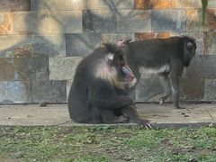-哈尔滨北方森林动物园