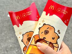 -麦当劳(鲁迅公园店)
