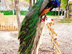 -汉石桥湿地公园