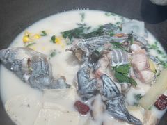 -鲜潭蒸汽石锅鱼(五道口购物中心店)