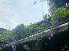 -新场古镇-停车场